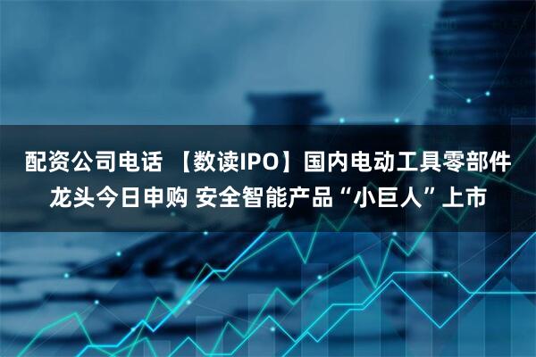 配资公司电话 【数读IPO】国内电动工具零部件龙头今日申购 安全智能产品“小巨人”上市