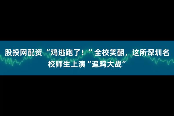 股投网配资 “鸡逃跑了！”全校笑翻，这所深圳名校师生上演“追鸡大战”